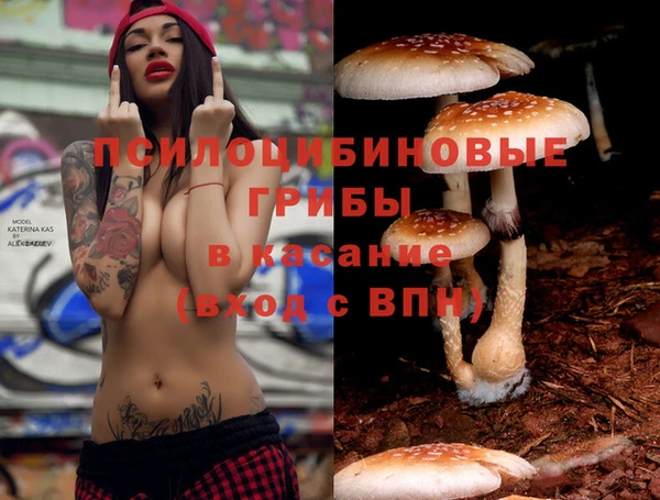 прущие крисы Балахна