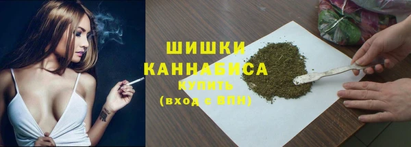прущие грибы Баксан