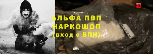 прущие грибы Баксан