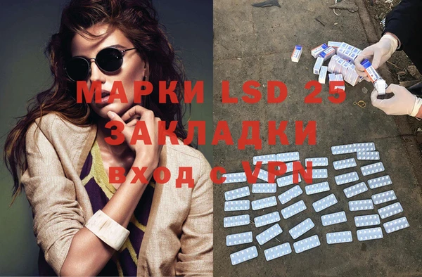 прущие грибы Баксан